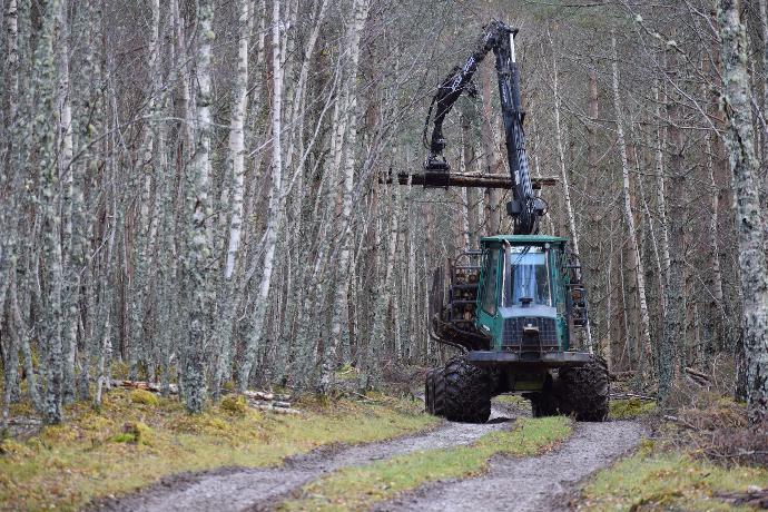 green and black heavy equipment near brown bare trees during daytime